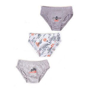 Yoclub Kids's Cotton Boys' Briefs Underwear 3-pack MC-24/BOY/002