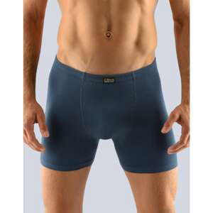 Men's boxers Gino blue (74090)