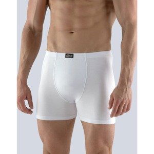 Men's boxers Gino white (74090)