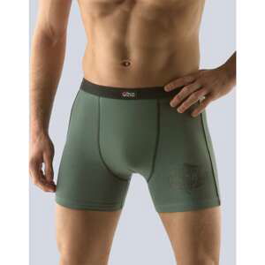 Men ́s boxers Gino green (74071)