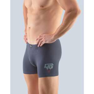 Men's boxers Gino gray (73101)