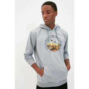 Trendyol Gray Men's Regular Fit Hooded Long Sleeve Printed Sweatshirt