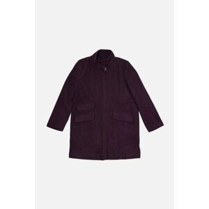 Trendyol Plum Stand Up Collar Cachet Coat