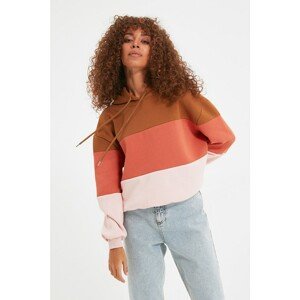 Trendyol Dried Rose Color Block Hooded Basic Knitted Sweatshirt