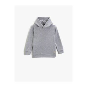 Koton Long Sleeve Hooded Sweatshirt Boys