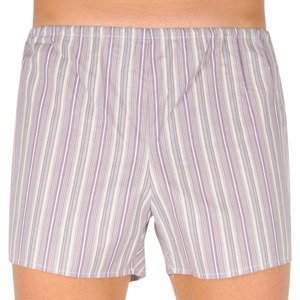 Classic men's shorts Foltín brown with oversized stripes