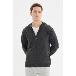 Trendyol Anthracite Men Regular Fit Zipper Detailed Cardigan