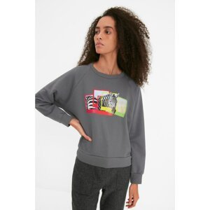 Trendyol Gray Raglan Sleeve Basic Thin Knitted Sweatshirt