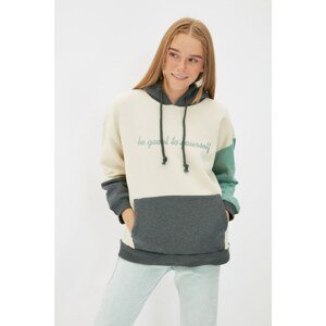 Trendyol Beige Color Block Embroidered Boyfriend Knitted Sweatshirt