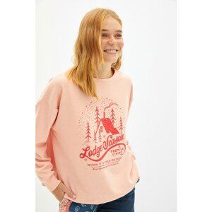 Trendyol Powder Oversize Printed Slim Knitted Sweatshirt