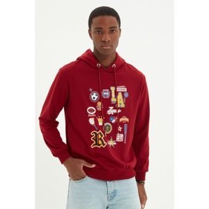 Trendyol Claret Red Men Regular Fit Hoodie Sweatshirt