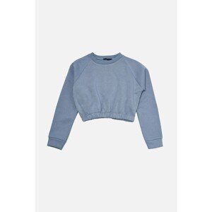 Trendyol Indigo Reglan Sleeve Raised Crop Knitted Thick Sweatshirt