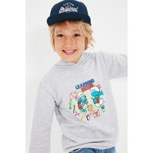 Trendyol Gray Smurfs Licensed Printed Basic Boy's Hoodie Knitted Sweatshirt