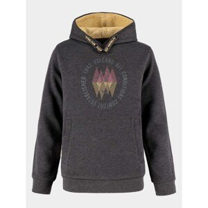 Volcano Kids's Regular Silhouette Hoodie B-Swis Junior B01354-W22