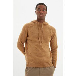 Trendyol Camel Men Regular Fit Hooded Pullover