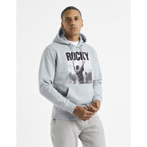 Celio Sweatshirt Lverockysw