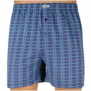 Men's shorts Andrie blue (PS 5455 D)