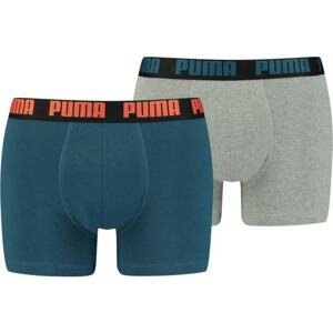 2PACK men's boxers Puma multicolored (521015001 299)