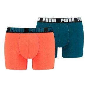 2PACK men's boxers Puma multicolored (521015001 302)
