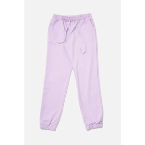 Trendyol Lilac Knitted Slim Sweatpants