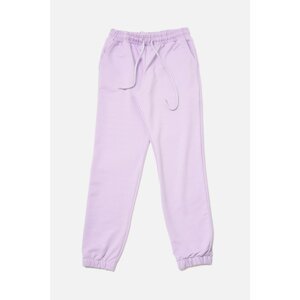 Trendyol Lilac Knitted Slim Sweatpants