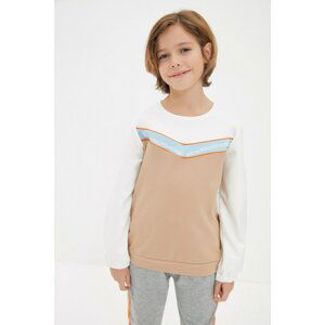 Trendyol Camel Color Block Boy Knitted Slim Sweatshirt