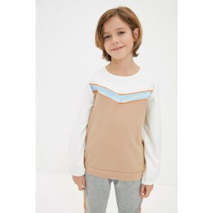 Trendyol Camel Color Block Boy Knitted Slim Sweatshirt