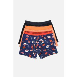 Trendyol Multi Color Male 3-Pack Boxer