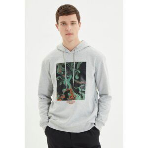 Trendyol Gray Men's Regular Fit Hooded Long Sleeve Printed Sweatshirt