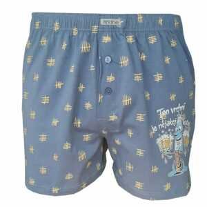 Men's shorts Andrie blue-gray (PS 5556 B)
