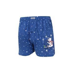 Men's shorts Andrie blue (PS 5555 B)