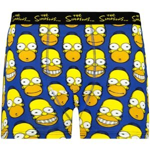 Pánske boxerky The Simpsons 1P - Frogies