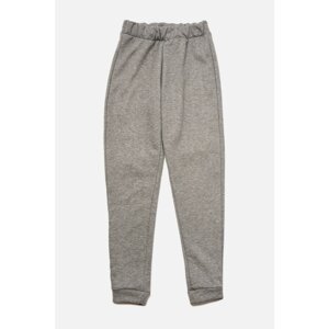 Trendyol Gray Basic Jogger Slim Knitted Sweatpants