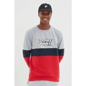 Trendyol Gray Men's Licensed Looney Tunes Printed Regular Fit Crew Neck Paneled Sweatshirt