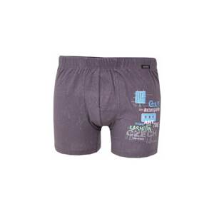 Men's boxers Andrie gray (PS 5588 B)