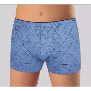 Men's boxers Andrie blue (PS 5595 A)