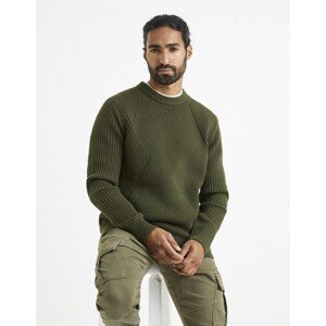 Celio Sweater Veinard