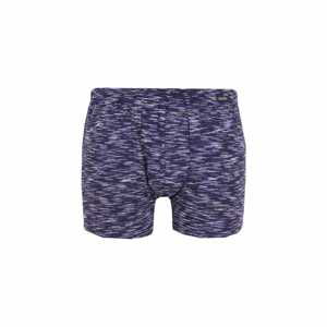 Men's boxers Andrie blue (PS 5531 B)