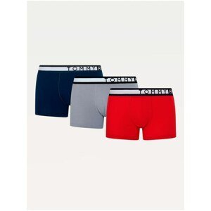 3PACK men's boxers Tommy Hilfiger multicolored (UM0UM02202 0RU)