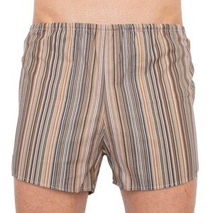 Classic men's shorts Foltýn colored stripes oversize