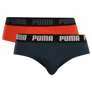 2PACK men's briefs Puma multicolored (521030001 047)