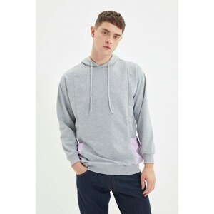 Trendyol Gray Men's Regular Fit Long Sleeve Hooded Paneled Sweatshirt