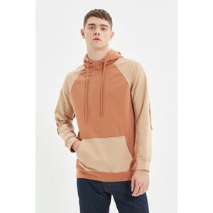 Trendyol Camel Men Regular Fit Long Sleeve Hooded Paneled Sweatshirt