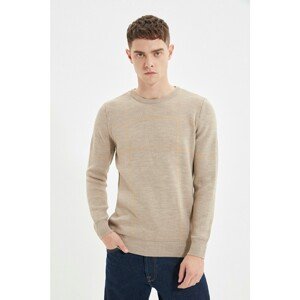 Trendyol Mink Men Regular Fit Crew Neck Contrast Stripe Detailed Sweater