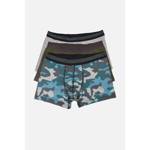 Trendyol Boxer Shorts - Multi-color - 3 pack