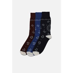 Trendyol Socks - Multicolor - 3 pcs