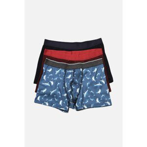 Trendyol Multi Color Male 3-Pack Boxer