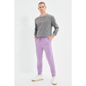 Trendyol Purple Men's Regular Fit Sweatpants