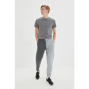 Trendyol Gray Men's Regular Fit Elastic Trousers