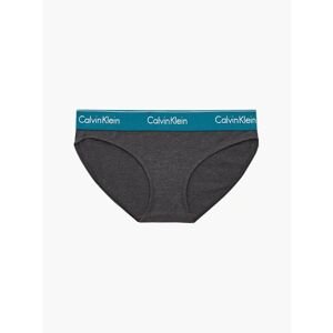 Women's panties Calvin Klein gray (F3787-VIJ)